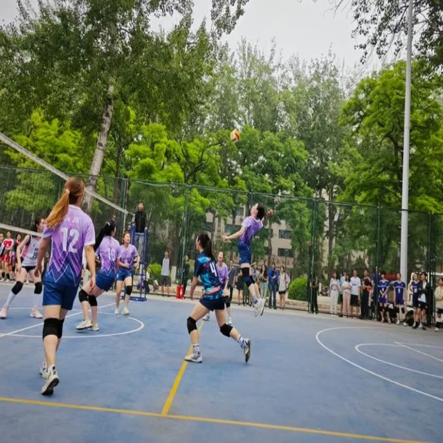 辛纳争冠前景如何突围难题